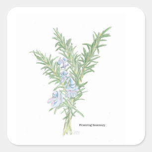 Flowering Rosemary Sticker