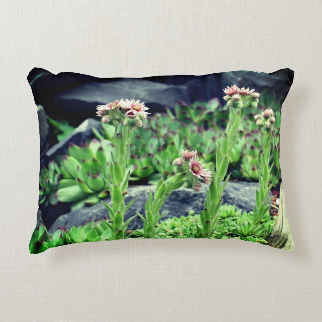 Flowering Succulents   Decorative Cushion (Front)