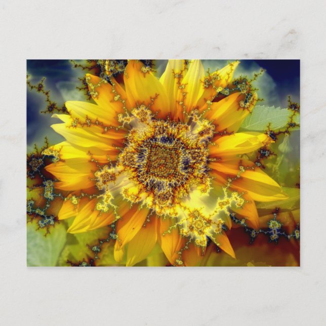Flowering Sun Postcard (Front)