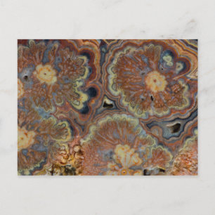 Flowering Tube Onyx Postcard