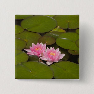 Flowering water lilies 15 cm square badge