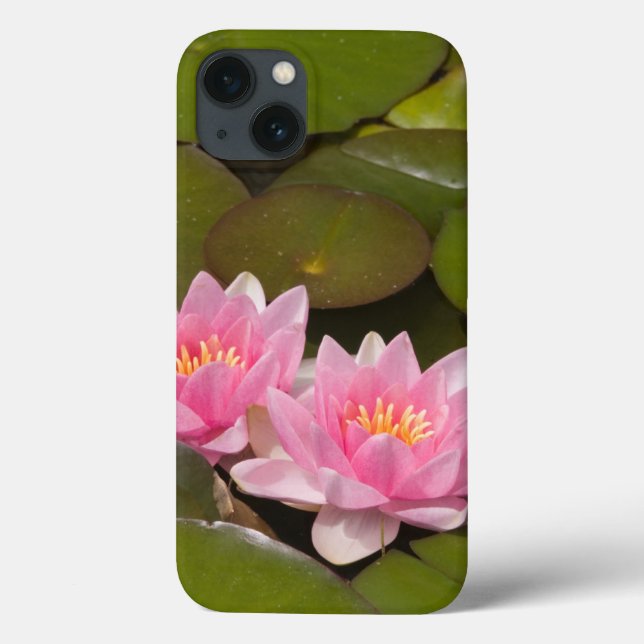 Flowering water lilies Case-Mate iPhone case (Back)