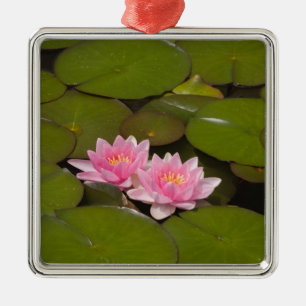Flowering water lilies metal ornament