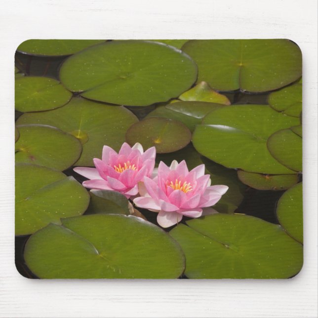 Flowering water lilies mouse pad (Front)