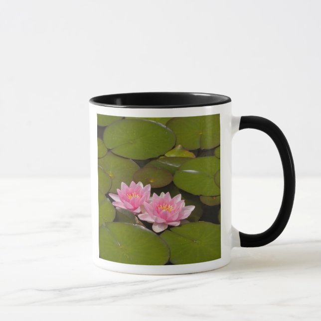 Flowering water lilies mug (Right)