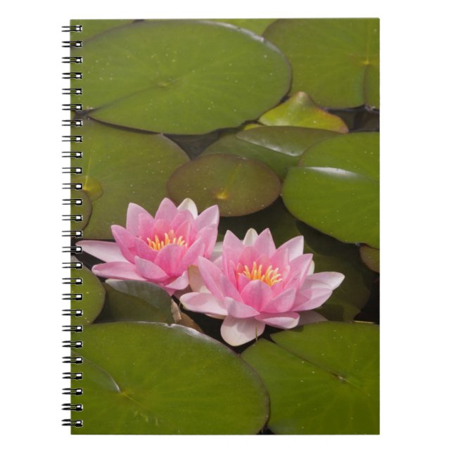 Flowering water lilies notebook (Front)