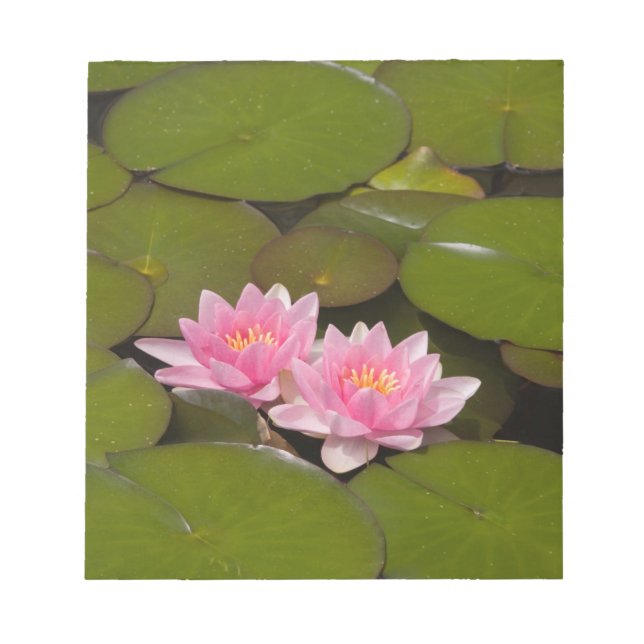 Flowering water lilies notepad (Front)