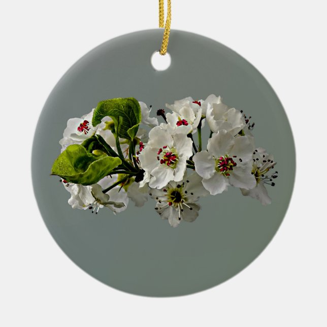 Flowering White Pear Blossoms Ceramic Ornament (Front)