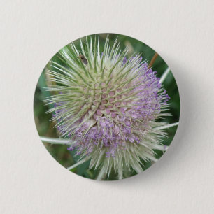 Flowering Wild Grass Button