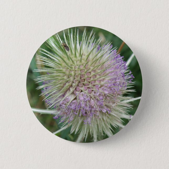 Flowering Wild Grass Button (Front)