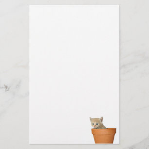 Flowerpot kitten stationery