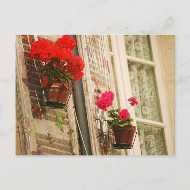 flowerpots postcard (Front)