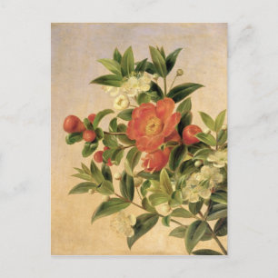 Flowers, 1835 postcard