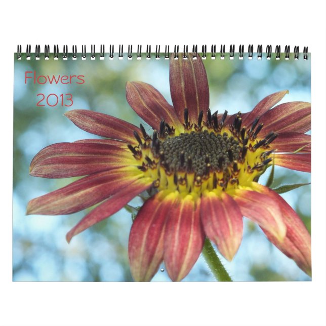 Flowers 2013 Calender Calendar (Cover)