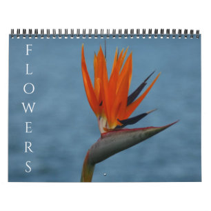 flowers 2027 calendar