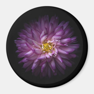 Flowers 20 magnet