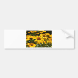 flowers-2824808 bumper sticker