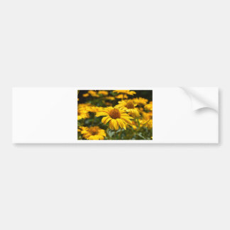 flowers-2824808 bumper sticker