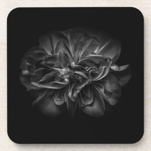 Flowers 67 BW Coaster