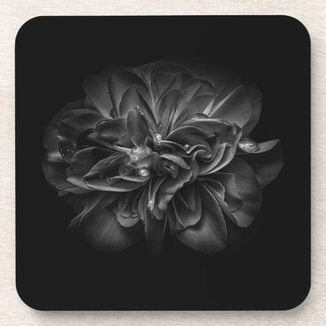 Flowers 67 BW Coaster (Front)