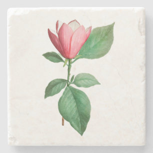 Flowers: A001 Lily Magnolia - Stone Coaster