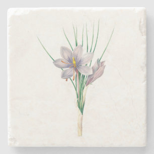 Flowers: A007 Autumn Crocus - Stone Coaster