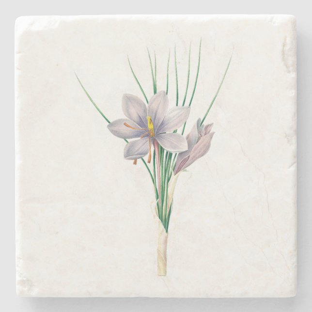 Flowers: A007 Autumn Crocus - Stone Coaster (Front)