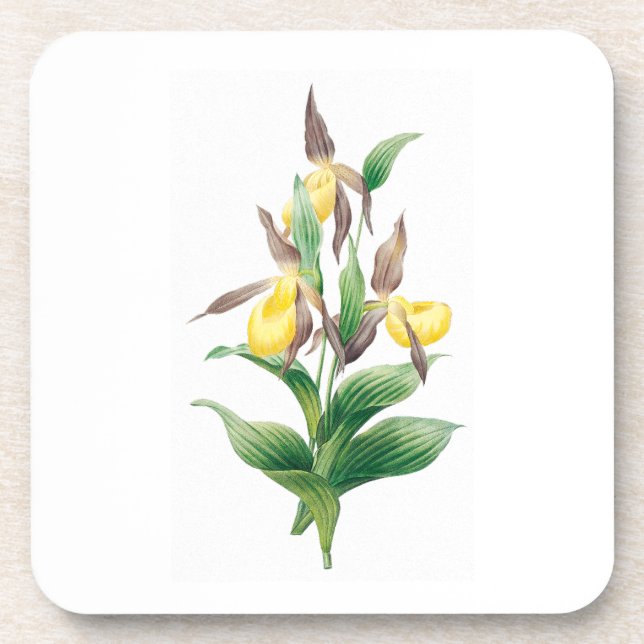 Flowers: A011 Yellow Lady Slipper - Coaster (Front)