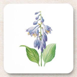 Flowers: A012 Daylily - Coaster