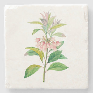 Flowers: A013 Redvein Enkianthus - Stone Coaster