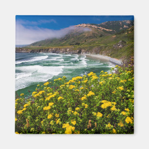 Flowers Above Sand Dollar Beach Magnet