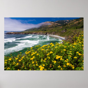 Flowers Above Sand Dollar Beach Poster