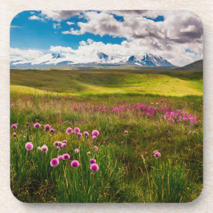 Flowers Altai Mountains, Siberia, Russia Coaster