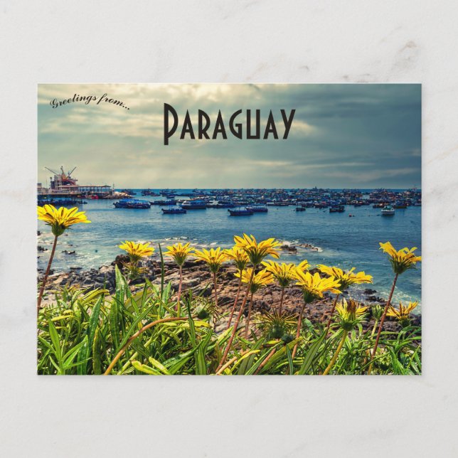 Flowers and Boats in Paraguay Postcard (Front)