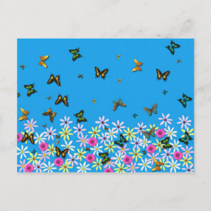 flowers and butterflies postcard