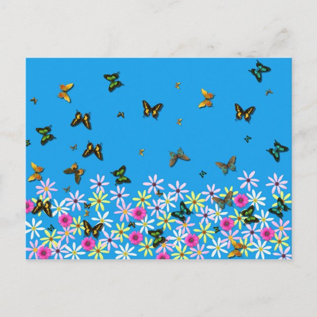 flowers and butterflies postcard (Front)