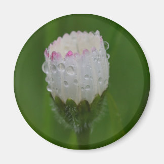 Flowers and drops of water magnet
