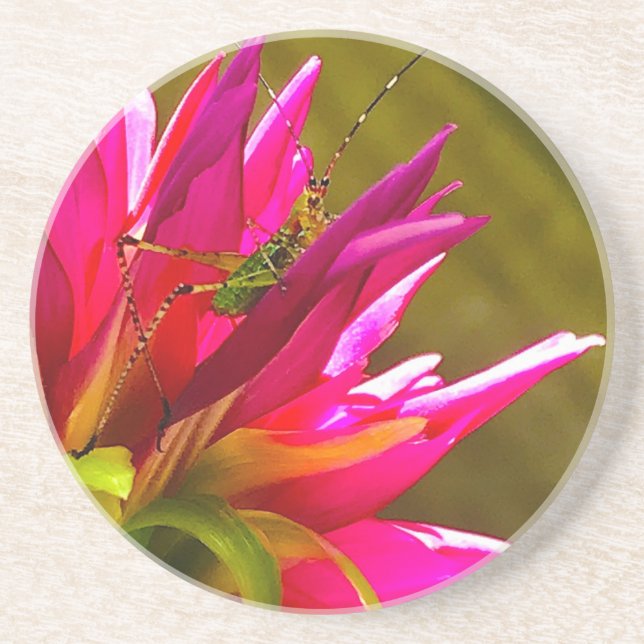 Flowers and Friends Coaster (Front)
