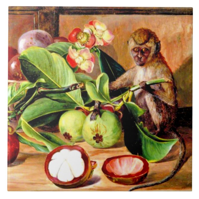 Flowers and fruit of Mangosteen; Singapore Monkey Ceramic Tile (Front)