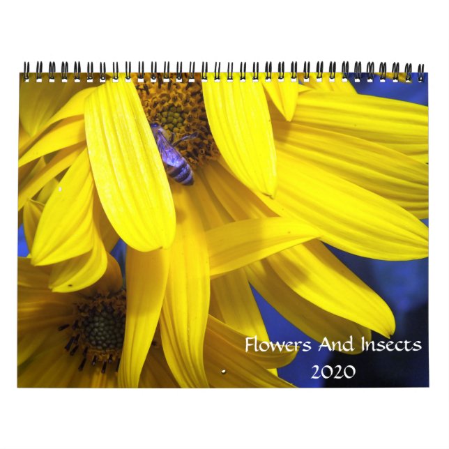 flowers And Insects 2020 Calendar (Cover)