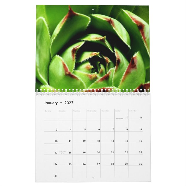 Flowers and Insects Calendar (Jan 2027)