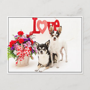 Flowers and Love Postcard