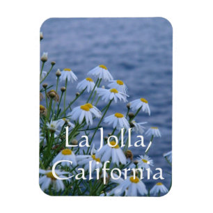 Flowers and Ocean in La Jolla, California Magnet
