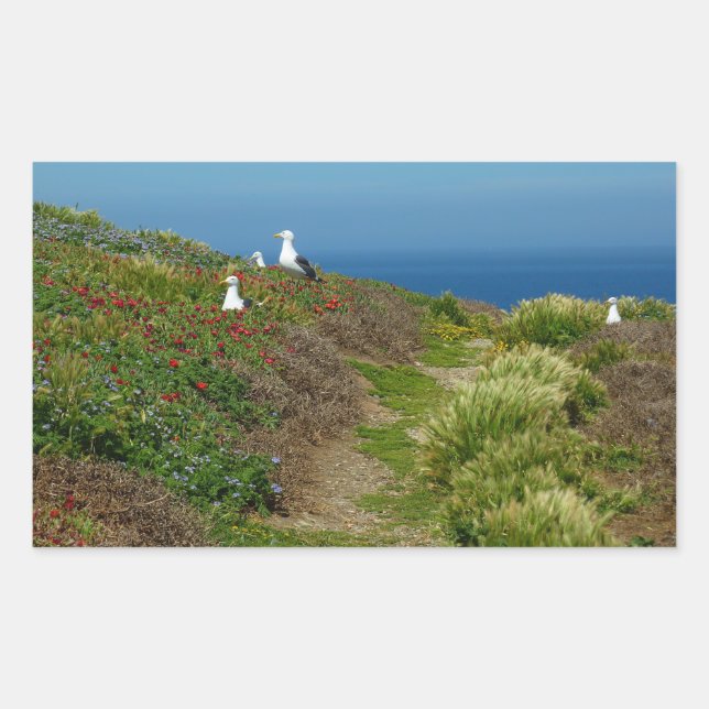 Flowers and Seagulls on Anacapa Island Rectangular Sticker (Front)