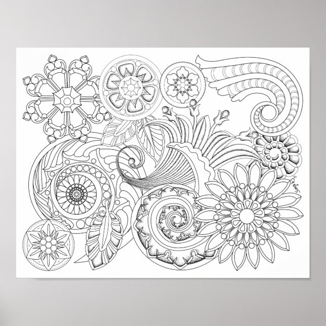 Flowers and Spirals : DIY Colouring Poster (Front)