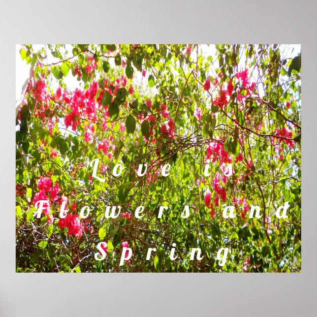 Flowers and spring pink flowers leaves branches poster (Front)