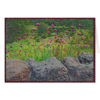 Flowers and stone wall.
