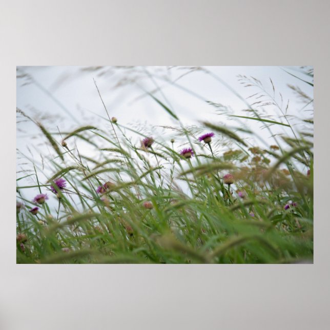 Flowers and Weeds poster (Front)