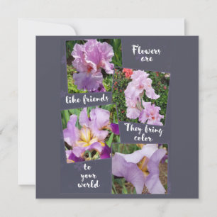 Flowers are like Friends