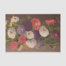 Flowers Asters by Ellen Robbins